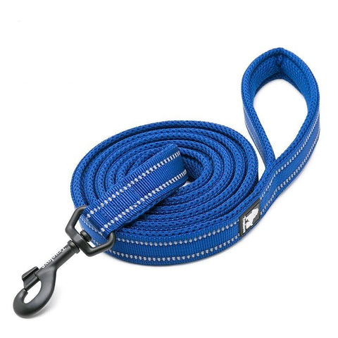 XS Reflective Pet Leash 2 meters Royal Blue