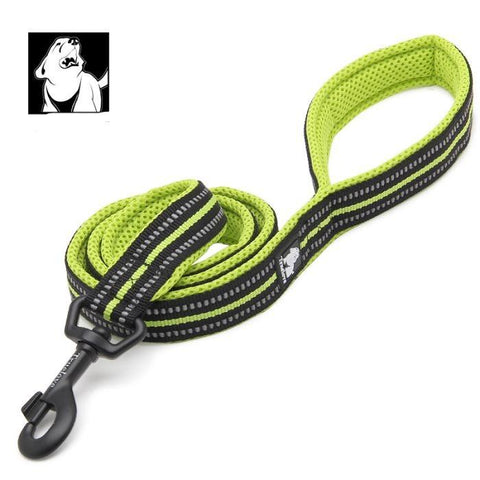 XS Reflective Pet Leash 2 meters Yellow