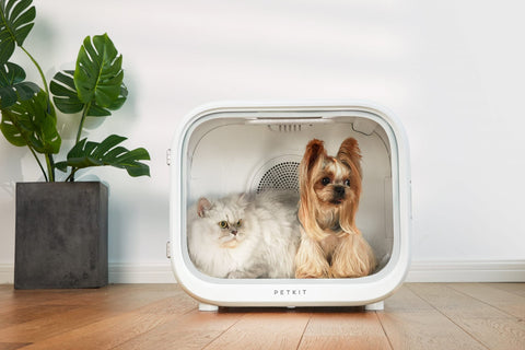 Smart Pet Dryer Box