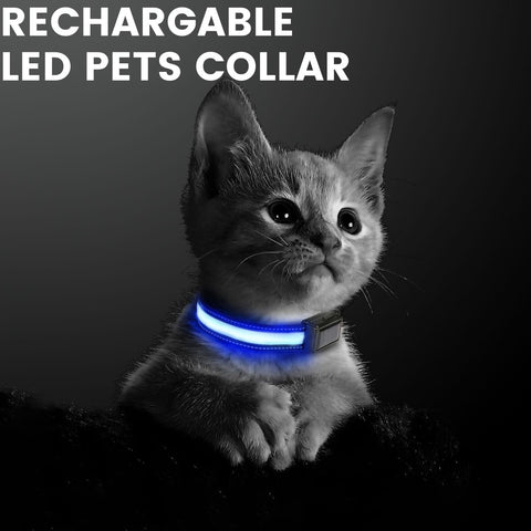 Solar USB Rechargable LED Dog Collar M/L