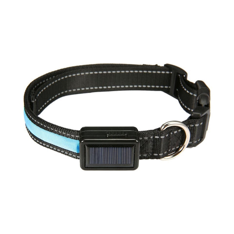 Solar USB Rechargable LED Dog Collar M/L