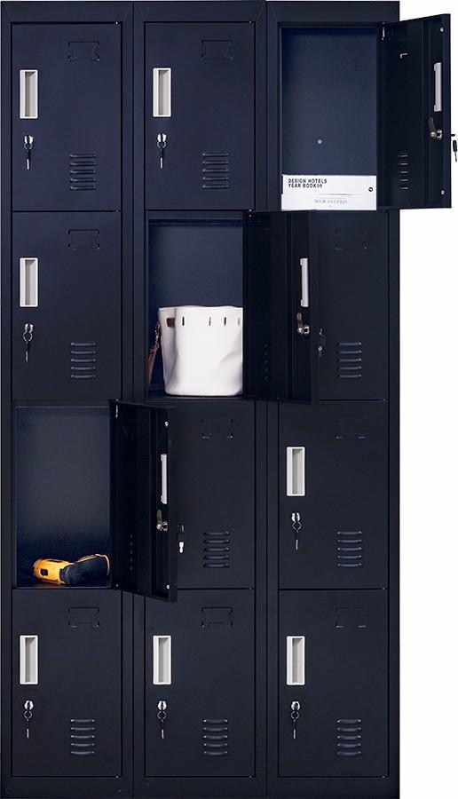 Storage Standard locks 12 Door Locker for Office Gym - Black