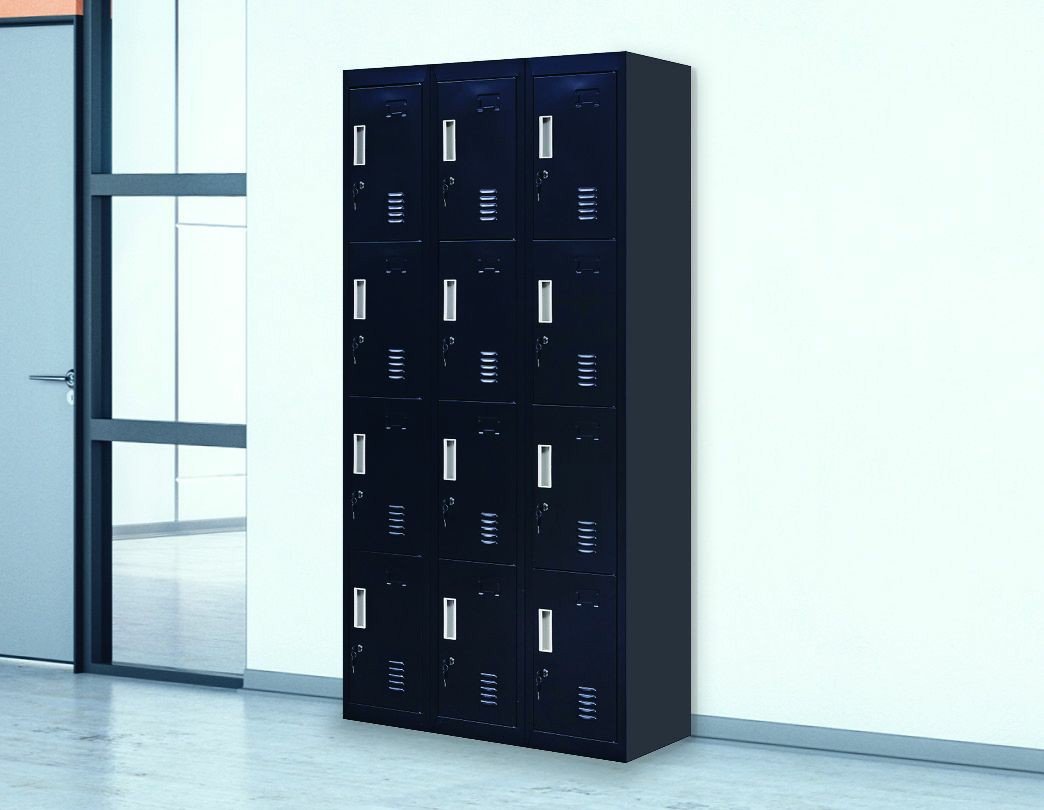 Storage Standard locks 12 Door Locker for Office Gym - Black