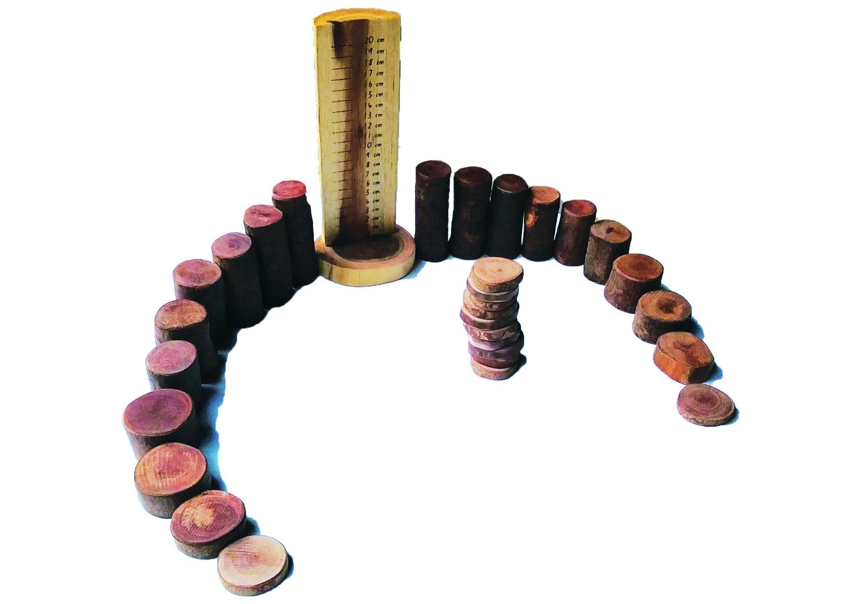 Toys Tree Maths Set With Ruler