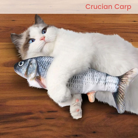 USB Electric Fish Toy Crucian Carp