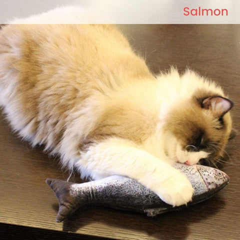 USB Electric Fish Toy (Salmon) PT-CTT-125-QQQ