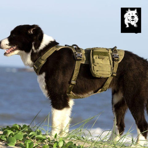XL Whinhyepet Military Harness Army Green