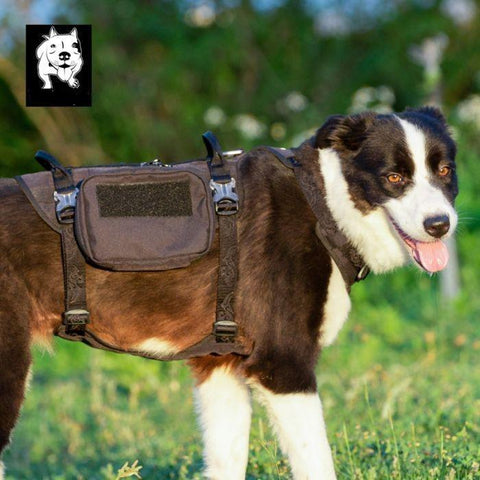 L Whinhyepet Military Harness Black