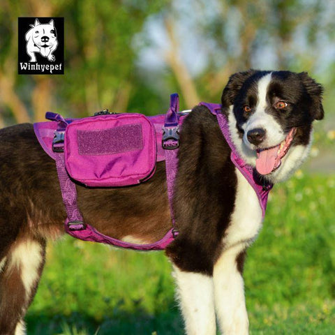 L Whinhyepet Military Harness Purple